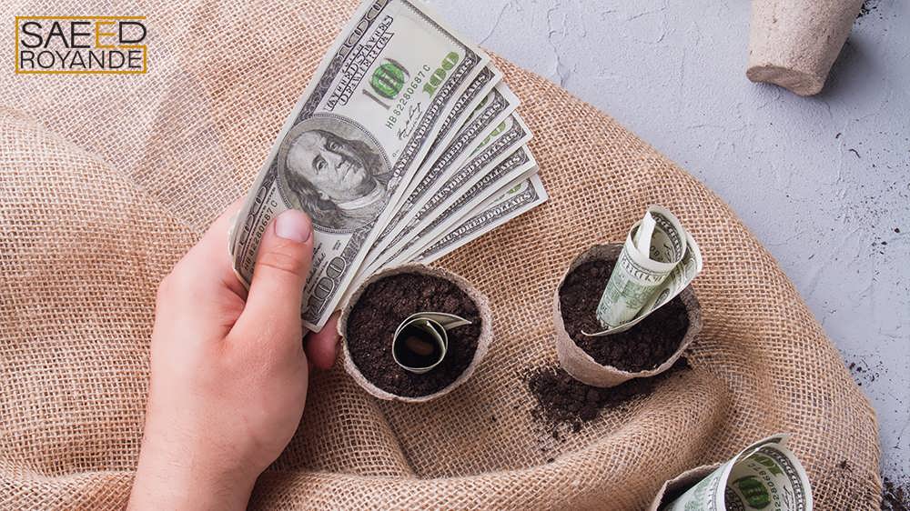 دلار در دستان یک نفر کنار گلدان که نشان دهنده سرمایه گذاری مالی است